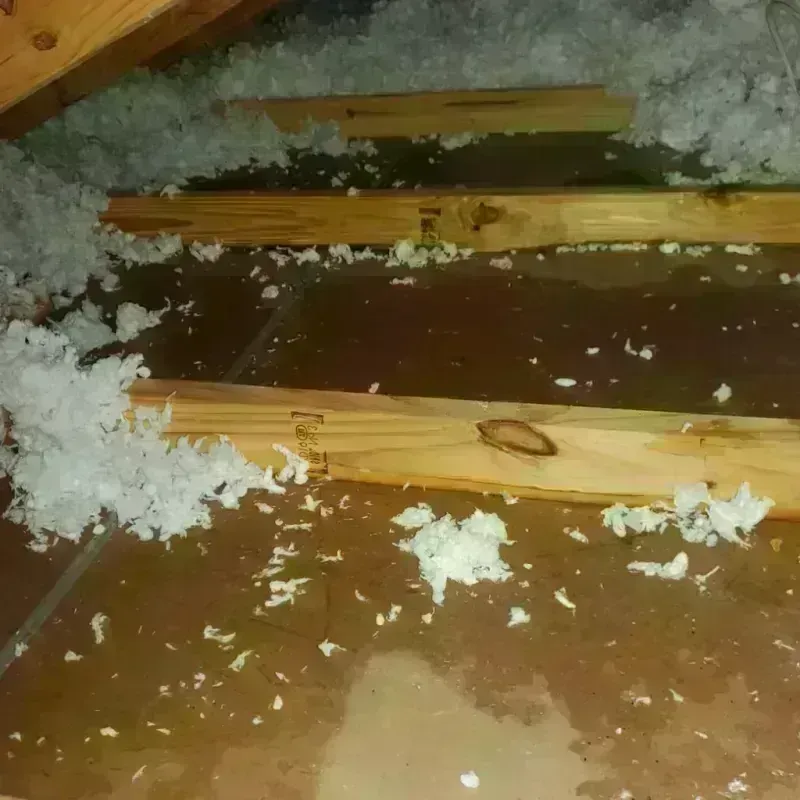 Attic Water Damage in Elk Grove, CA